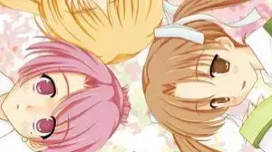 秋桜の空に