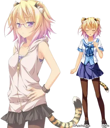 屏風 てとら
