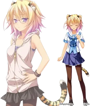 屏風 てとら