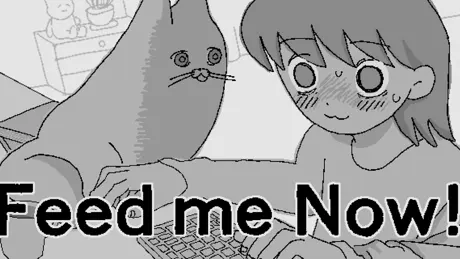Feed me Now!