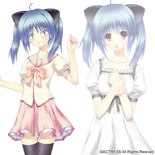 八坂 珠美