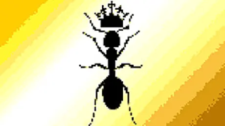 Kingdom Of The Ants