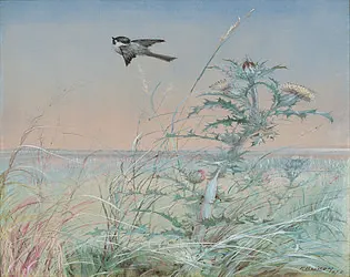 BirdSong & March