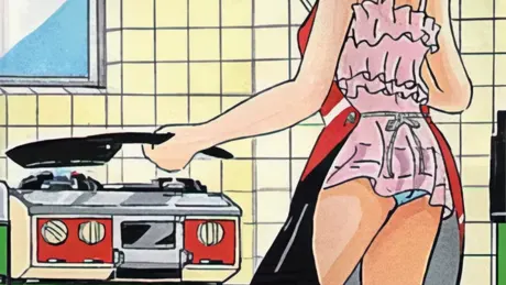 女子高生アイドル おさな妻奮戦記