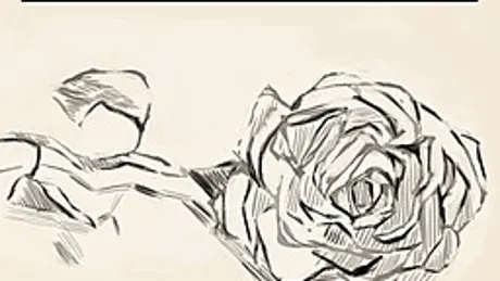 A Dozen Bloomin' Roses: The Visual Novel Adaptation