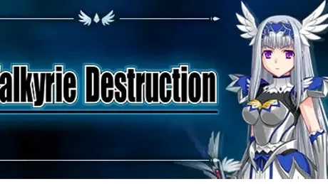 Valkyrie Destruction