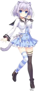 安妮