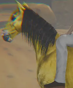 吉姆