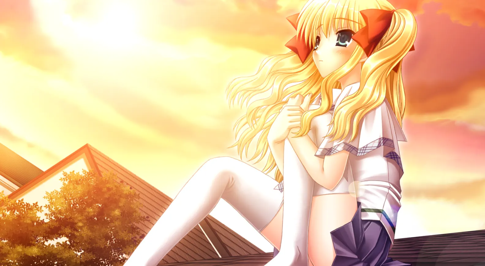 SIN 黒朱鷺色の少女