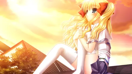 SIN 黒朱鷺色の少女