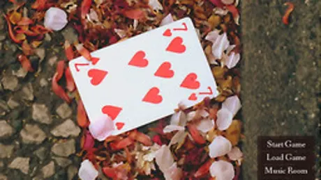 51 cards