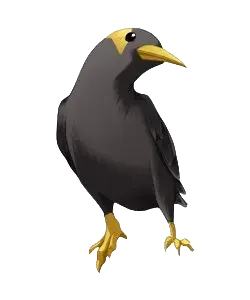 エリザベス
