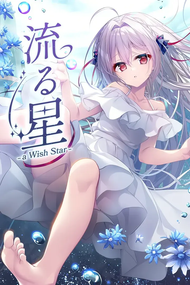 流る星 -A wish star-