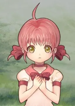 Flori
