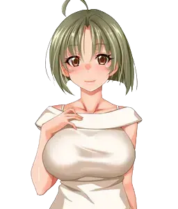 袿 单衣