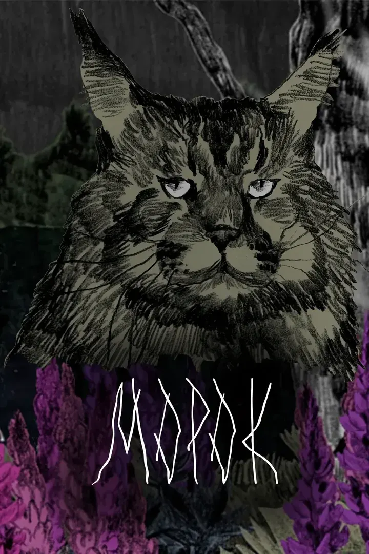 Morok