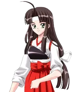 星鞍