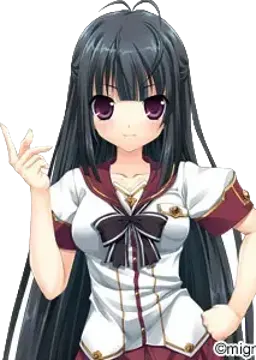 蘇芳 結