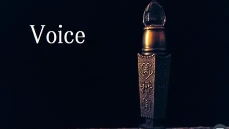 Voice