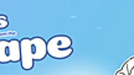 Notes from the Cape