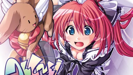 Series Banner 1