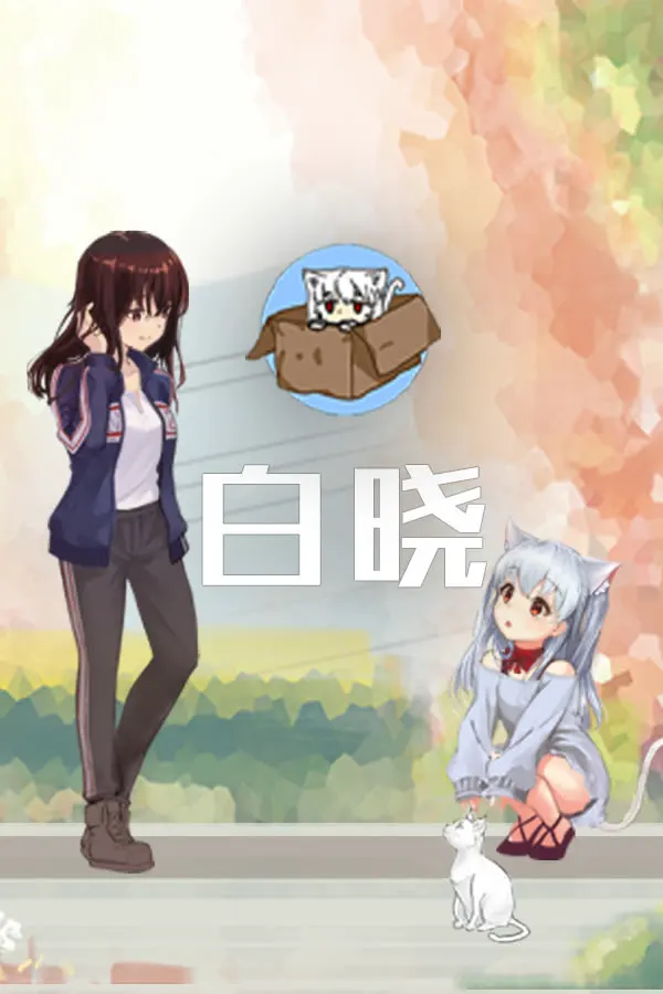 白晓
