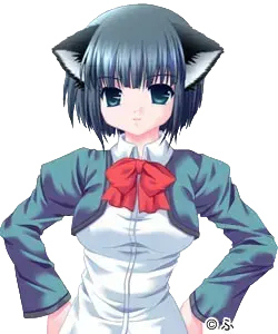深山 美矢