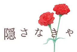 隠さなきゃ