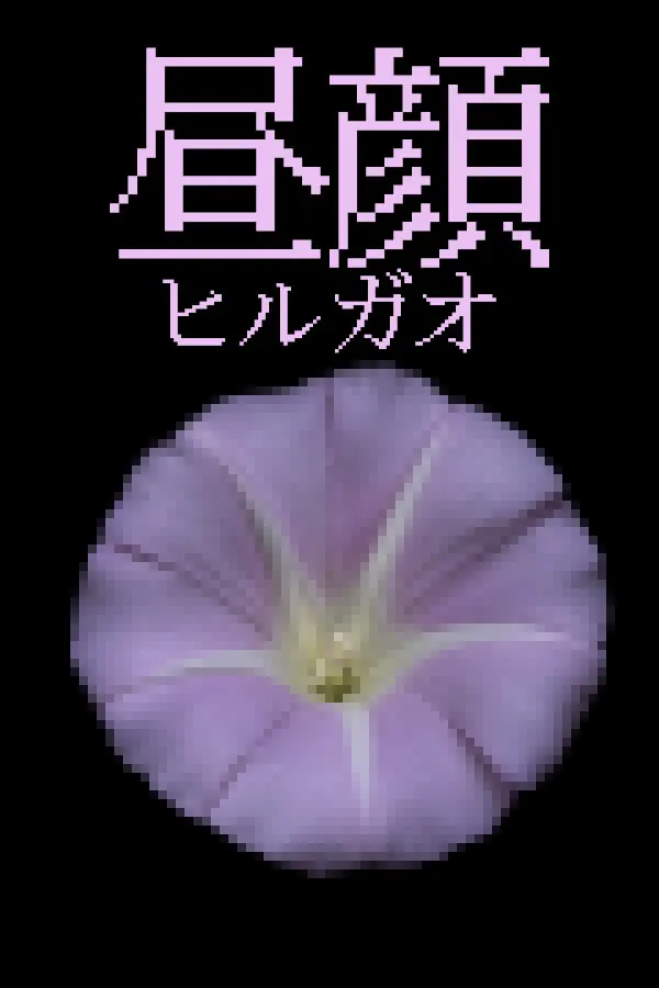 히루가오