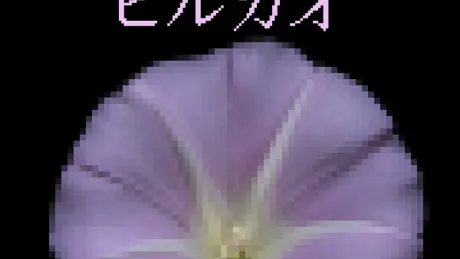 히루가오