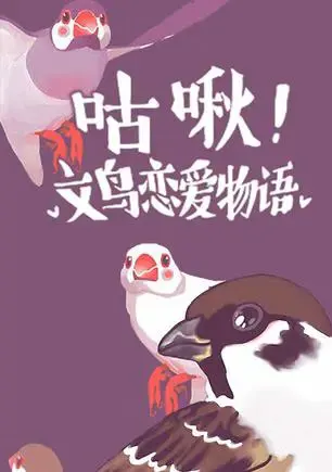 咕啾！文鸟恋爱物语