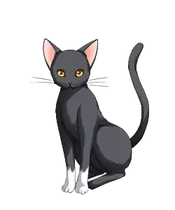 ノエル