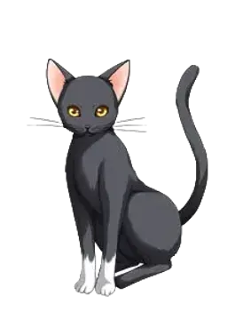 ノエル
