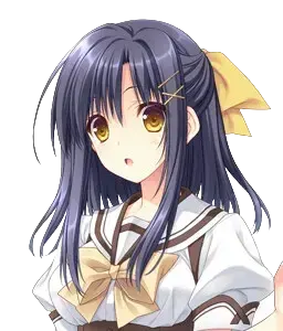 安場 琥珀