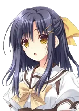 安場 琥珀