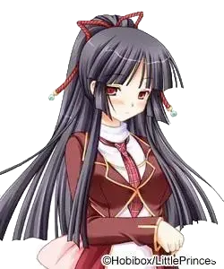 董条 紬