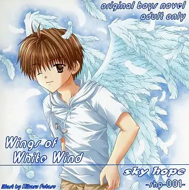 Wings of White Wind