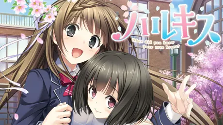 ハルキス