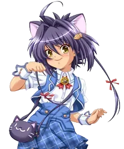 真実 向日葵