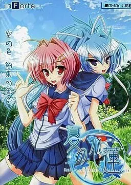 夏の水蓮