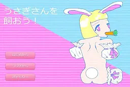 来养兔子吧!