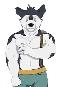 Kais