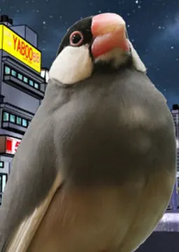 小柴 アザミ