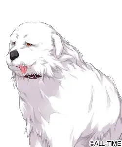 ハラペコ