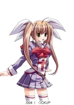 春野雏菊