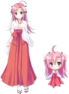 天住 春廻