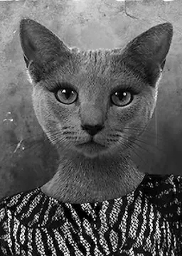 Natasha Catzenko