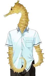 ???