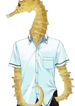 ???