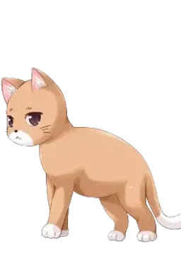 波莱罗